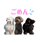 ライアン王国だ〜No1（個別スタンプ：9）