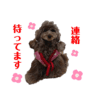 ライアン王国だ〜No1（個別スタンプ：13）