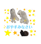 ライアン王国だ〜No1（個別スタンプ：16）