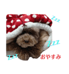 ライアン王国だ〜No1（個別スタンプ：20）