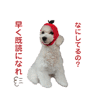 ライアン王国だ〜No1（個別スタンプ：23）