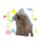 ライアン王国だ〜No1（個別スタンプ：29）