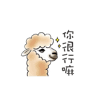 神戸どうぶつ王国 公式スタンプ (繁体中文)（個別スタンプ：8）
