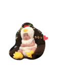 天使❤️（個別スタンプ：18）