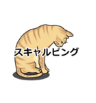 動くFXトレーダー猫さん（個別スタンプ：7）