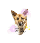 KURI ＆ SARAN ときどき NANA（個別スタンプ：8）