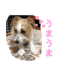 ゆるかわ！JRTぺぴぴスタンプ（個別スタンプ：7）