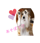ゆるかわ！JRTぺぴぴスタンプ（個別スタンプ：8）