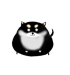 黒柴っぽい犬（個別スタンプ：3）