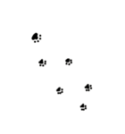 黒柴っぽい犬（個別スタンプ：4）