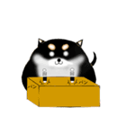 黒柴っぽい犬（個別スタンプ：10）
