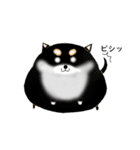 黒柴っぽい犬（個別スタンプ：12）
