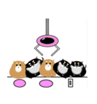 黒柴っぽい犬（個別スタンプ：27）