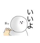 ビションフリーゼ☆たまの日常会話（個別スタンプ：4）