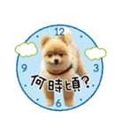 ポメラニアン もふた 2（個別スタンプ：7）
