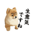 ポメラニアン もふた 2（個別スタンプ：17）