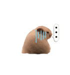 チビとマル（個別スタンプ：7）