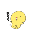もちっとインコ川（個別スタンプ：1）