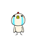 かわいいニワトリさん（個別スタンプ：24）