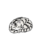 ぐうたらな猫 by cacao（個別スタンプ：3）