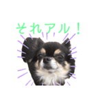 ルブタンじゃなくルプダン（個別スタンプ：2）