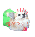 ルブタンじゃなくルプダン（個別スタンプ：4）