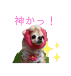 ルブタンじゃなくルプダン（個別スタンプ：7）