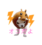 ルブタンじゃなくルプダン（個別スタンプ：11）