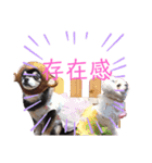 ルブタンじゃなくルプダン（個別スタンプ：19）