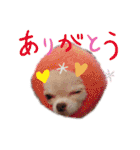 ルブタンじゃなくルプダン（個別スタンプ：20）