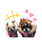 ルブタンじゃなくルプダン（個別スタンプ：23）