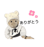 きーくんの日常会話（個別スタンプ：37）