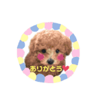 といぷーのまろくん（個別スタンプ：3）