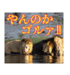 This is Africa（個別スタンプ：11）