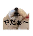 ロコ助2（個別スタンプ：3）