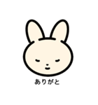 うさにゃんわんわん01（個別スタンプ：1）