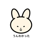 うさにゃんわんわん01（個別スタンプ：5）