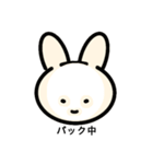 うさにゃんわんわん01（個別スタンプ：13）