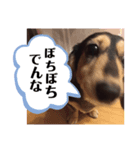 まるこ8（個別スタンプ：1）