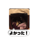 まるこ8（個別スタンプ：4）
