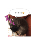まるこ8（個別スタンプ：8）