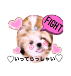 シーズーらーちゃん♡＊挨拶編＊（個別スタンプ：6）