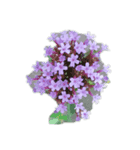 お花_1（個別スタンプ：3）