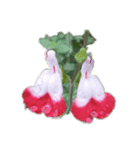 お花_1（個別スタンプ：4）