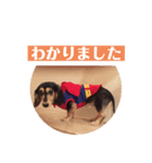 まるこ9（個別スタンプ：2）