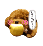 ずちゃ（個別スタンプ：3）