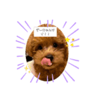 ずちゃ（個別スタンプ：6）