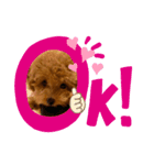 ずちゃ（個別スタンプ：8）