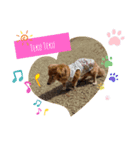 かるちゃんฅ▽・ᴥ・▽ฅスタンプ（個別スタンプ：3）