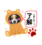 ♡僕パピヨンの太郎♡（個別スタンプ：10）